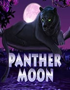 เล่นสล็อต slotxo เค ดิ ต ฟรีufa mega168 ยังไงให้ได้กำไร